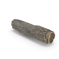Tree Timber PNG & PSD Images
