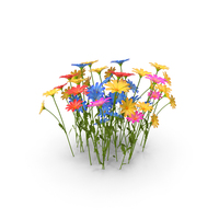 Meadow With Color Flowers PNG & PSD Images