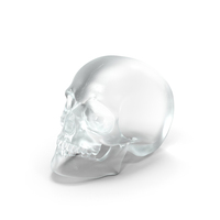 Crystal Skull PNG & PSD Images