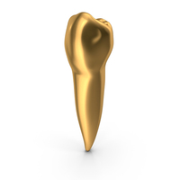 Golden Human Teeth Lower Second Premolar PNG & PSD Images