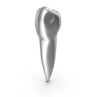 Silver Human Teeth Lower Second Premolar PNG & PSD Images