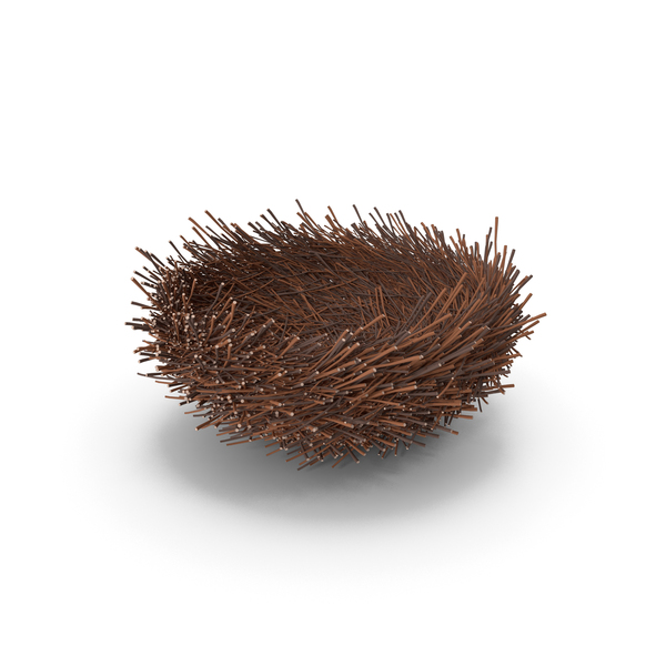 Bird Nest PNG & PSD Images
