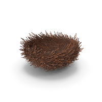 Bird Nest PNG & PSD Images