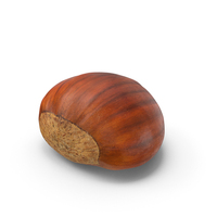 Edible Chestnut PNG & PSD Images