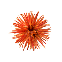 Microorganism Red PNG & PSD Images