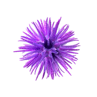 Microorganism Purple PNG & PSD Images