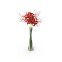 Bouquet of Spider Lilies in Glass Vase PNG & PSD Images