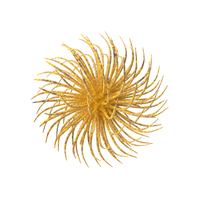 Microorganism Yellow PNG & PSD Images