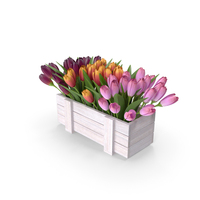 Tulips In Planter Box PNG & PSD Images
