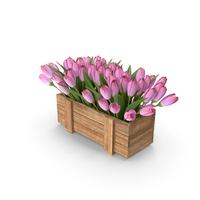 Tulips In Planter Box PNG & PSD Images