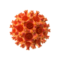 Microorganism Red PNG & PSD Images