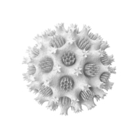 Microorganism White PNG & PSD Images