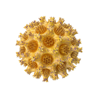 Microorganism Yellow PNG & PSD Images