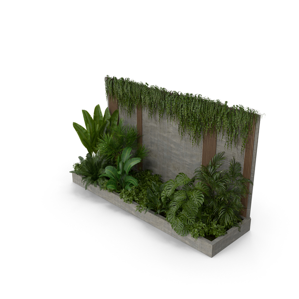 Collection Plant PNG & PSD Images