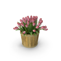 Flowers In Street Planter PNG & PSD Images