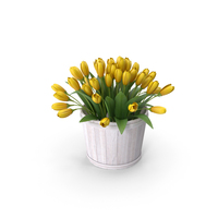 Flowers In Urban Planter PNG & PSD Images