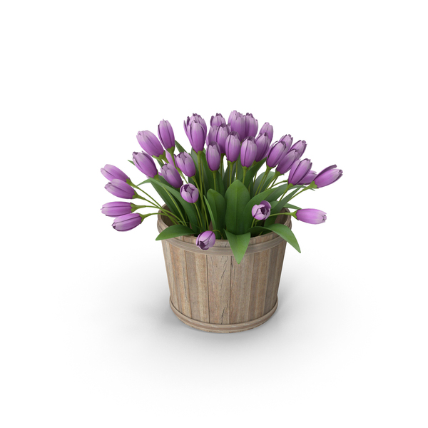 Flowers In Round Planter PNG & PSD Images