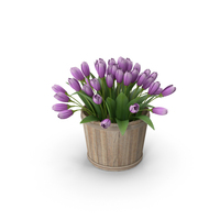 Flowers In Round Planter PNG & PSD Images