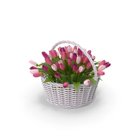 Flowers In Basket PNG & PSD Images