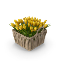 Yellow Tulips in Basket PNG & PSD Images