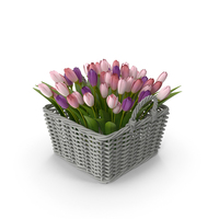 Tulips In Basket PNG & PSD Images