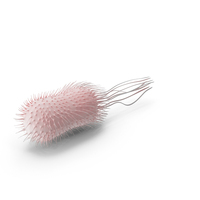 Pink Bacteria PNG & PSD Images