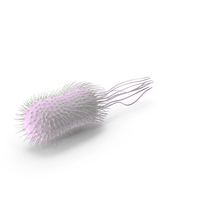 Bacteria Green PNG & PSD Images