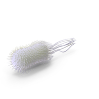Bacteria Yellow PNG & PSD Images