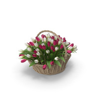 Tulips In Basket PNG & PSD Images