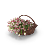 Basket Full of Tulips PNG & PSD Images