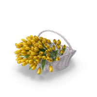 Basket Full Of Tulips PNG & PSD Images