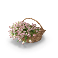 Basket Full Of Tulips PNG & PSD Images