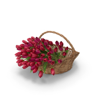 Basket Full of Tulips PNG & PSD Images