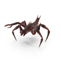 Red Arachnid Monster PNG & PSD Images