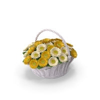 Gerbera Bouquet in Basket PNG & PSD Images