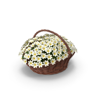 Camomile Bouquet in Basket PNG & PSD Images