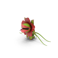 Monster Plant PNG & PSD Images