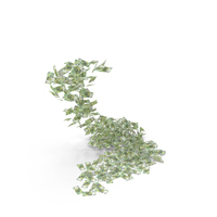 100 Euro Banknotes PNG & PSD Images