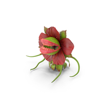 Scary Plant Monster In Pot PNG & PSD Images