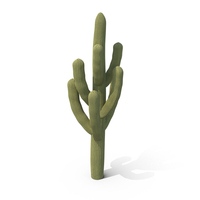 Single Cactus PNG & PSD Images