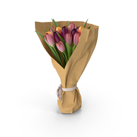 Tulips Bouquet PNG & PSD Images