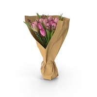 Tulips Bouquet PNG & PSD Images