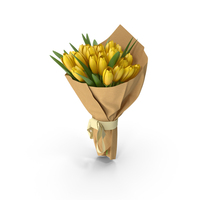 Tulips Bouquet PNG & PSD Images