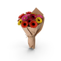 Gerbera Bouquet PNG & PSD Images