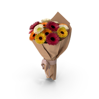 Gerbera Bouquet PNG & PSD Images