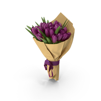 Tulips Bouquet PNG & PSD Images