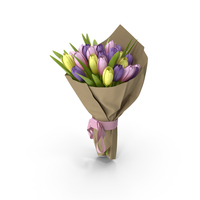 Tulips Bouquet PNG & PSD Images
