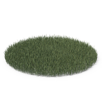 Big Dense Round Grass Patch PNG & PSD Images