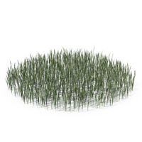 Medium Coarse Round Grass Patch PNG & PSD Images