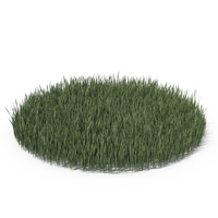 Medium Dense Round Grass Patch PNG & PSD Images